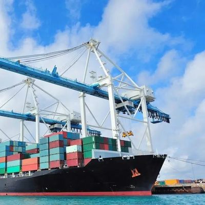 Pick Up Ddu Shipping From SHANGHAI/SHENZHENG/NINGBO/QINGDAO/LIANYUNGANG//XIAMEN