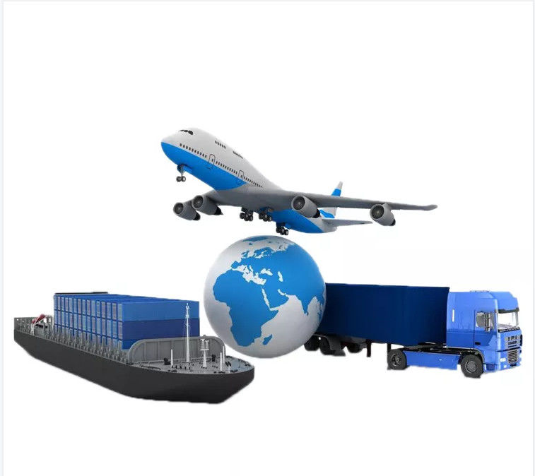 Qingdao Shanghai Ningbo FCL Shipping International Logistics United States FBA